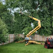 North River Shores, FL Tree Care Company